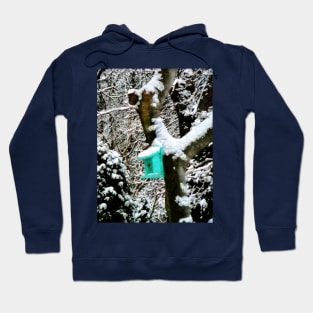 Turquoise Birdhouse in Winter Hoodie